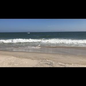 Meet your Posher, Ann